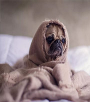 内蒙古有这样的手机号码，留不住钱，你中枪了吗？