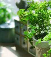 内蒙古专属于你的开运指南，助你鸿运当头福满身！