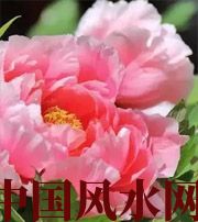 内蒙古预示你财运上升，姻缘可成的梦境，快来看看吧！