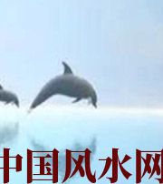 内蒙古做梦梦到这些，是要富裕的征兆！